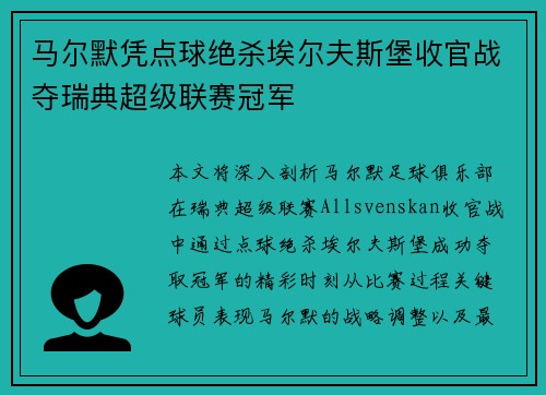 马尔默凭点球绝杀埃尔夫斯堡收官战夺瑞典超级联赛冠军
